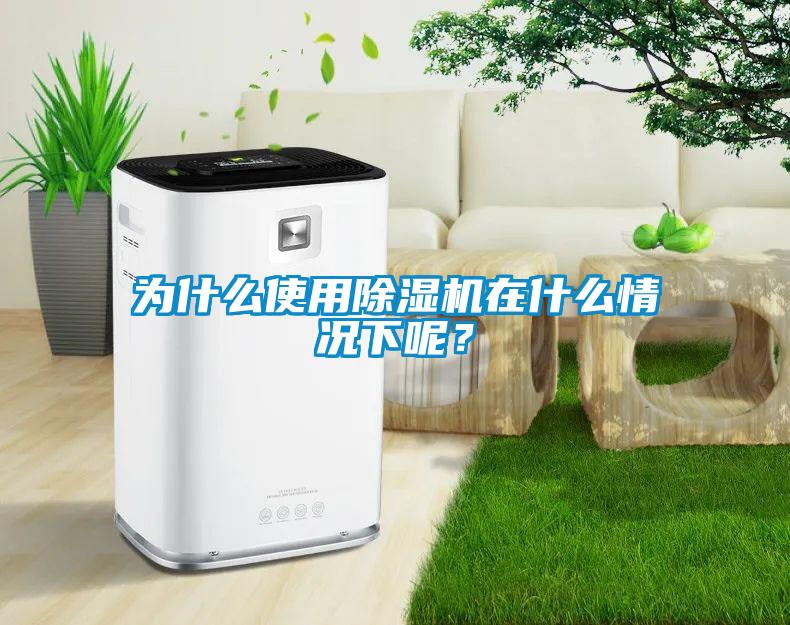 為什么使用除濕機在什么情況下呢?