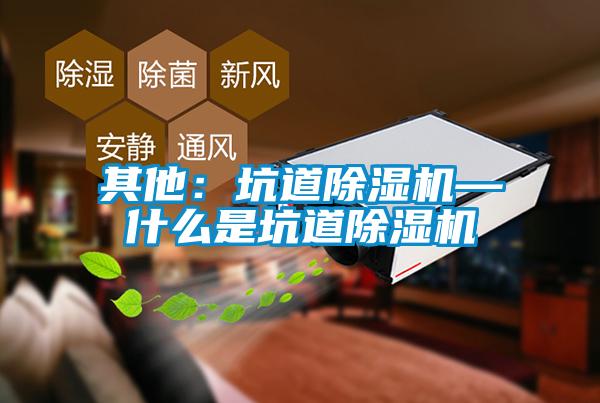 其他:坑道除濕機—什么是坑道除濕機