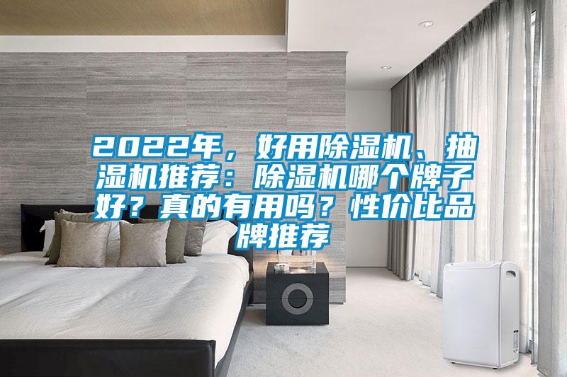 2022年,好用除濕機、抽濕機推薦:除濕機哪個牌子好?真的有用嗎?性價比品牌推薦