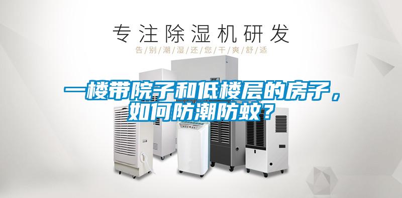 一樓帶院子和低樓層的房子，如何防潮防蚊？