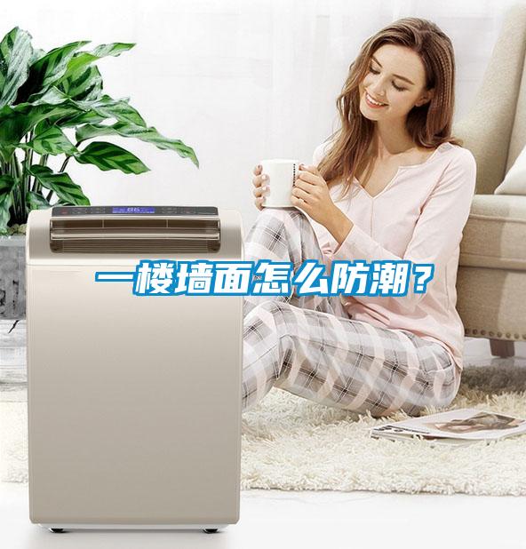 一樓墻面怎么防潮?