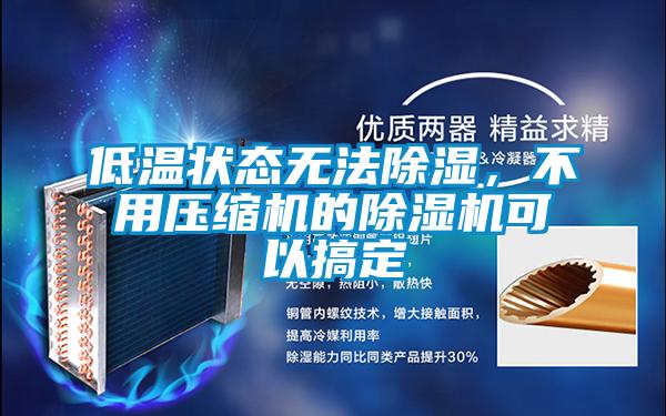 低溫狀態(tài)無(wú)法除濕,不用壓縮機(jī)的除濕機(jī)可以搞定
