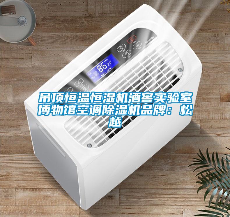 吊頂恒溫恒濕機酒窖實驗室博物館空調除濕機品牌:松越