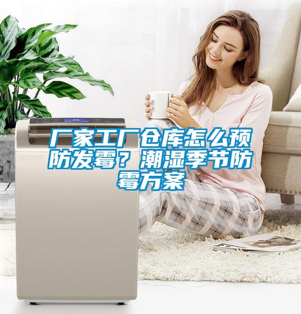 廠家工廠倉庫怎么預防發霉?潮濕季節防霉方案