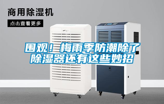 圍觀!梅雨季防潮除了除濕器還有這些妙招