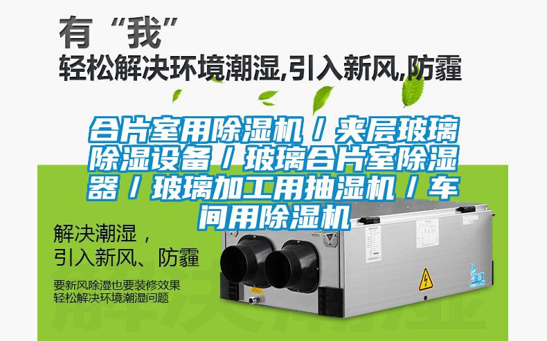 合片室用除濕機/夾層玻璃除濕設備/玻璃合片室除濕器/玻璃加工用抽濕機/車間用除濕機