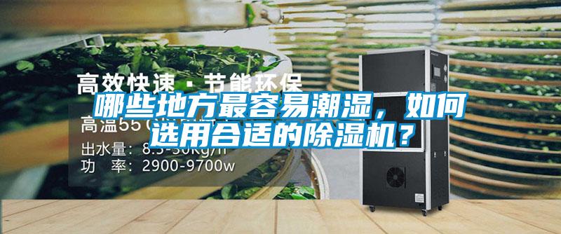 哪些地方最容易潮濕,如何選用合適的除濕機(jī)?