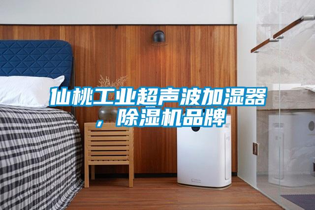 仙桃工業超聲波加濕器,除濕機品牌