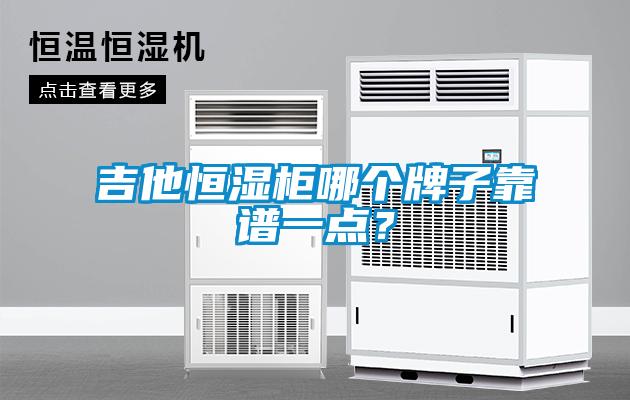 吉他恒濕柜哪個(gè)牌子靠譜一點(diǎn)?