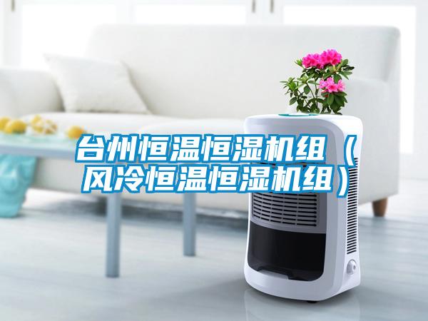 臺(tái)州恒溫恒濕機(jī)組(風(fēng)冷恒溫恒濕機(jī)組)