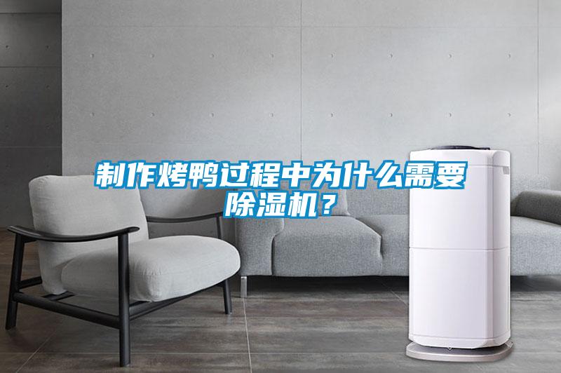 制作烤鴨過程中為什么需要除濕機?