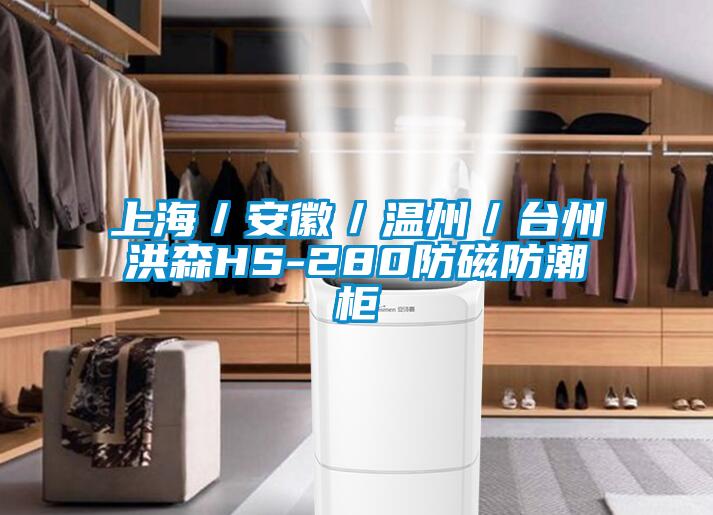 上海/安徽/溫州/臺州洪森HS-280防磁防潮柜