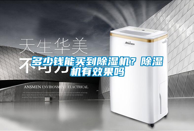 多少錢能買到除濕機？除濕機有效果嗎