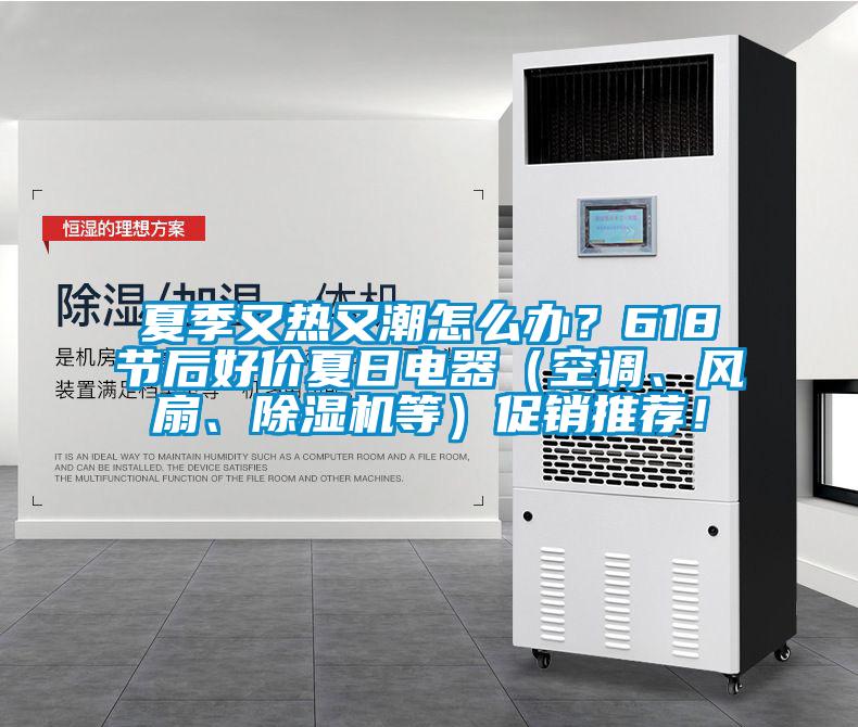 夏季又熱又潮怎么辦?618節(jié)后好價夏日電器(空調(diào)、風(fēng)扇、除濕機等)促銷推薦!