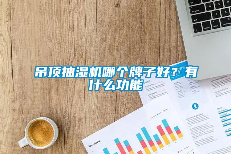 吊頂抽濕機哪個牌子好?有什么功能