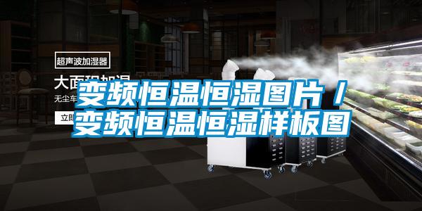 變頻恒溫恒濕圖片/變頻恒溫恒濕樣板圖