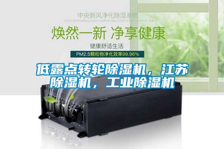 低露點轉輪除濕機,江蘇除濕機,工業除濕機