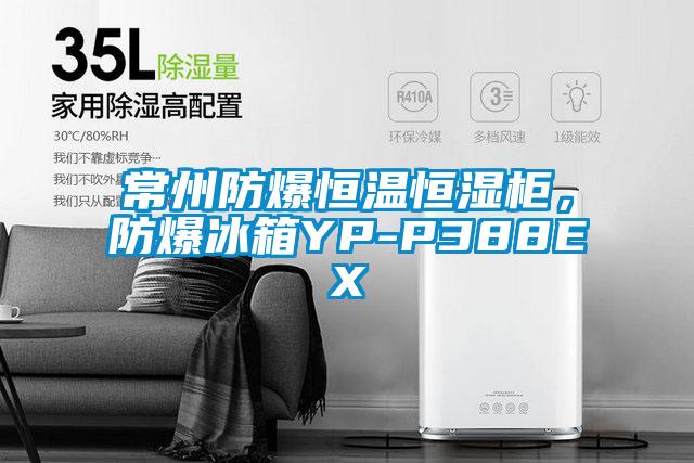 常州防爆恒溫恒濕柜,防爆冰箱YP-P388EX