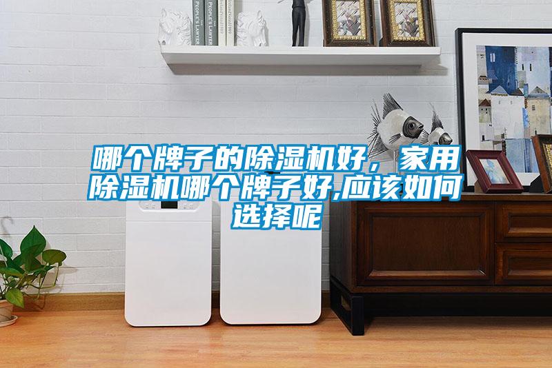 哪個(gè)牌子的除濕機(jī)好,家用除濕機(jī)哪個(gè)牌子好,應(yīng)該如何選擇呢