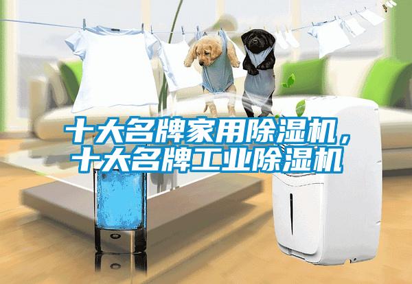 十大名牌家用除濕機，十大名牌工業除濕機
