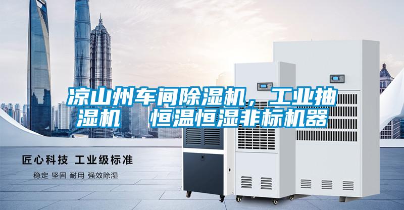 涼山州車間除濕機(jī),工業(yè)抽濕機(jī)  恒溫恒濕非標(biāo)機(jī)器