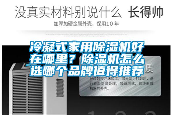 冷凝式家用除濕機好在哪里?除濕機怎么選哪個品牌值得推薦