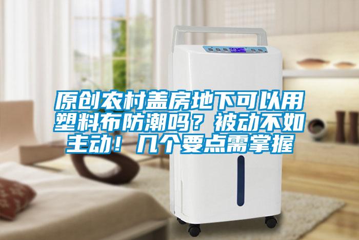 原創(chuàng)農(nóng)村蓋房地下可以用塑料布防潮嗎?被動不如主動!幾個要點需掌握
