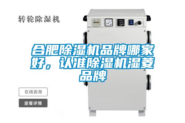 合肥除濕機品牌哪家好,認準除濕機濕菱品牌