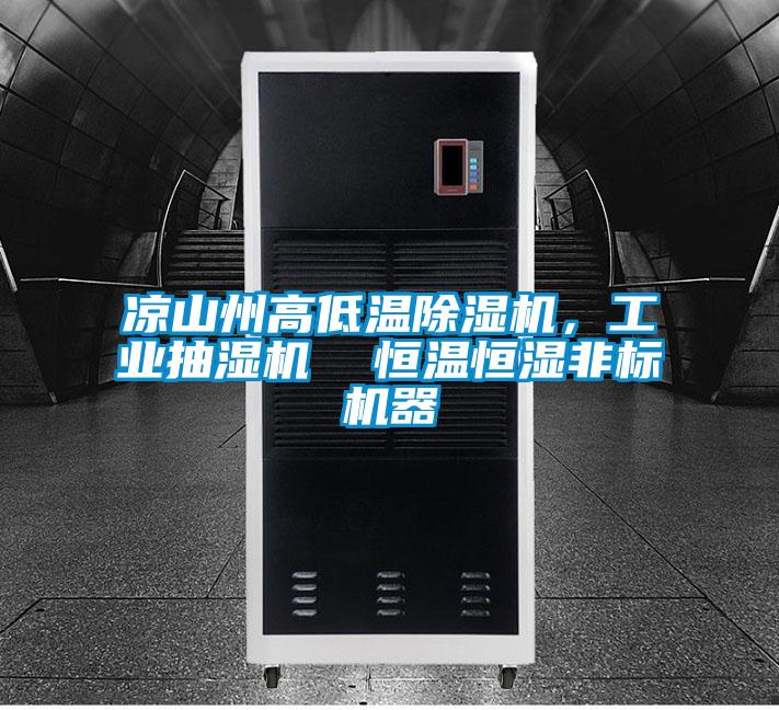 涼山州高低溫除濕機,工業抽濕機  恒溫恒濕非標機器