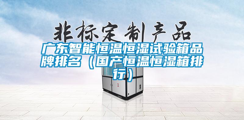 廣東智能恒溫恒濕試驗(yàn)箱品牌排名(國產(chǎn)恒溫恒濕箱排行)