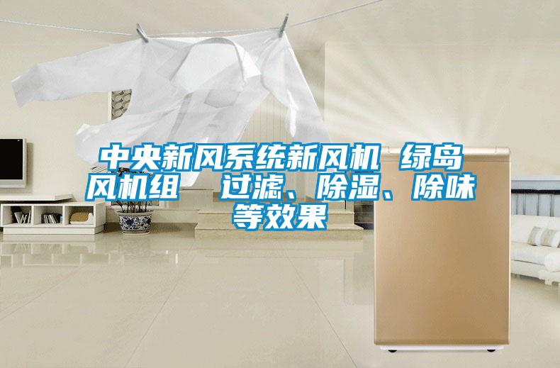 中央新風(fēng)系統(tǒng)新風(fēng)機 綠島風(fēng)機組  過濾、除濕、除味等效果