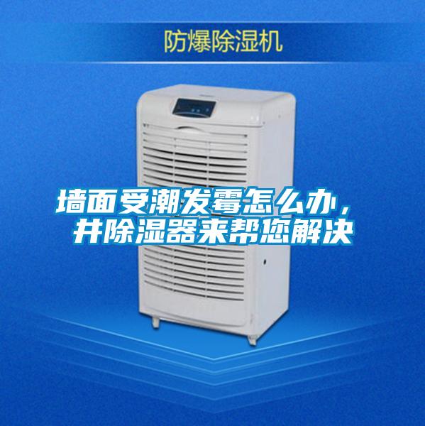 墻面受潮發(fā)霉怎么辦，東井除濕器來幫您解決