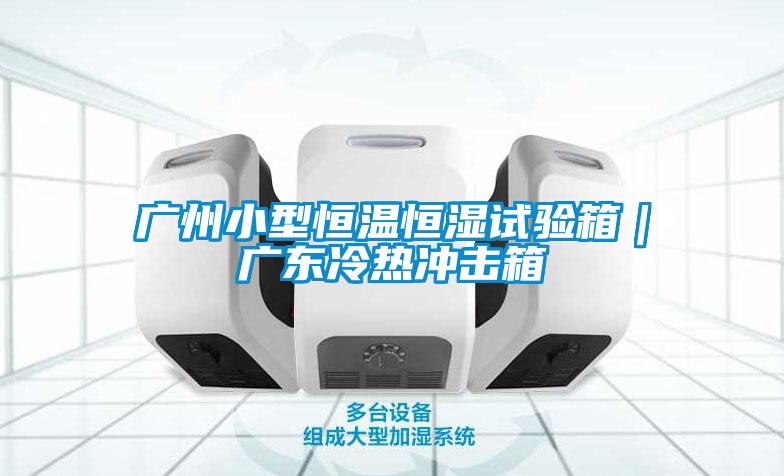 廣州小型恒溫恒濕試驗箱|廣東冷熱沖擊箱