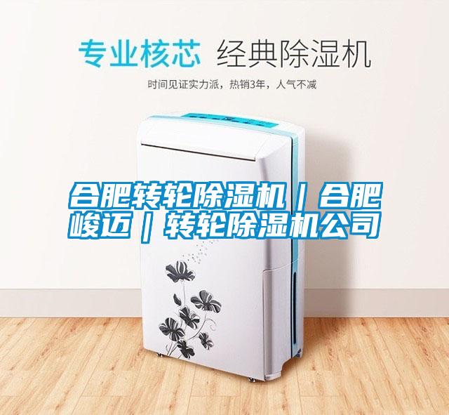 合肥轉輪除濕機|合肥峻邁|轉輪除濕機公司