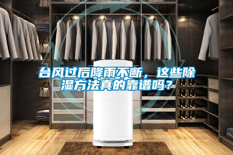 臺風過后降雨不斷,這些除濕方法真的靠譜嗎?