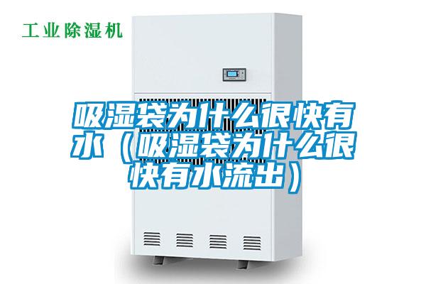 吸濕袋為什么很快有水(吸濕袋為什么很快有水流出)