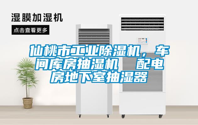 仙桃市工業除濕機,車間庫房抽濕機  配電房地下室抽濕器