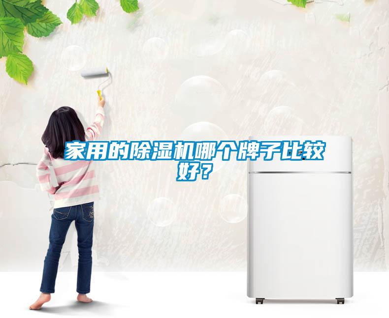 家用的除濕機哪個牌子比較好?