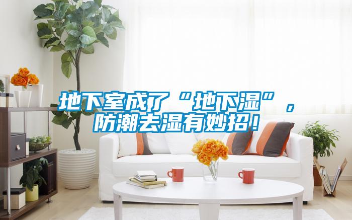 地下室成了“地下濕”,防潮去濕有妙招!