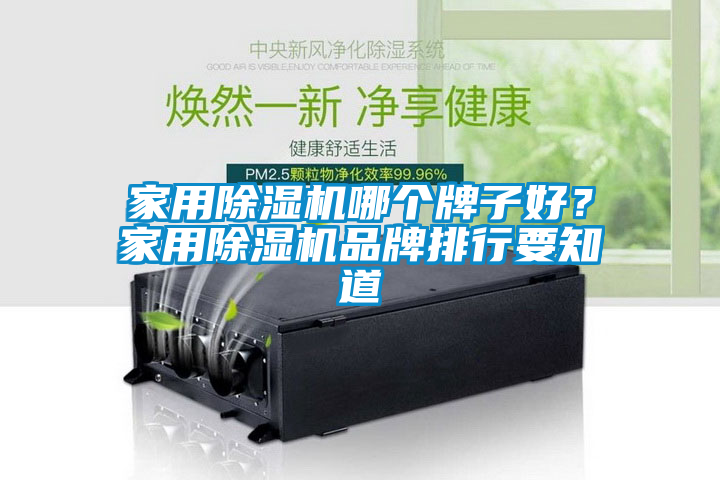 家用除濕機哪個牌子好？家用除濕機品牌排行要知道