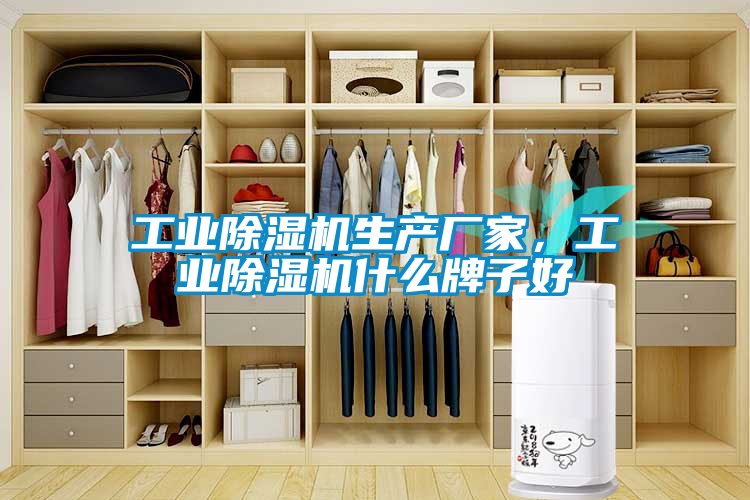 工業(yè)除濕機(jī)生產(chǎn)廠家,工業(yè)除濕機(jī)什么牌子好