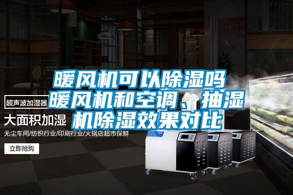 暖風(fēng)機(jī)可以除濕嗎 暖風(fēng)機(jī)和空調(diào)、抽濕機(jī)除濕效果對(duì)比