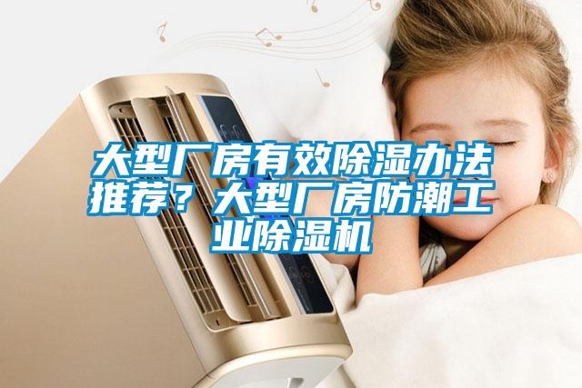 大型廠房有效除濕辦法推薦？大型廠房防潮工業除濕機