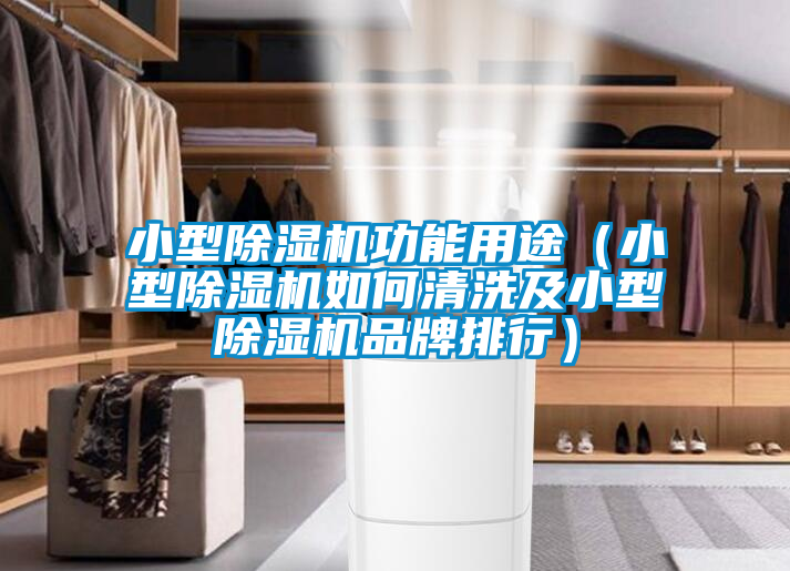 小型除濕機功能用途(小型除濕機如何清洗及小型除濕機品牌排行)