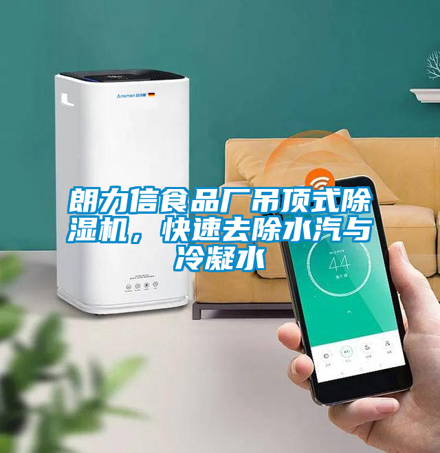 朗力信食品廠吊頂式除濕機,快速去除水汽與冷凝水