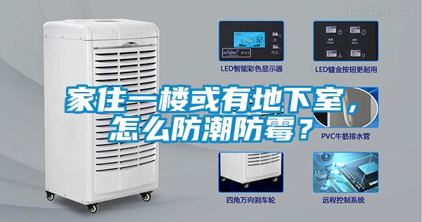 家住一樓或有地下室,怎么防潮防霉?