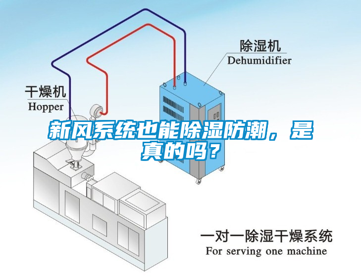 新風系統也能除濕防潮,是真的嗎?