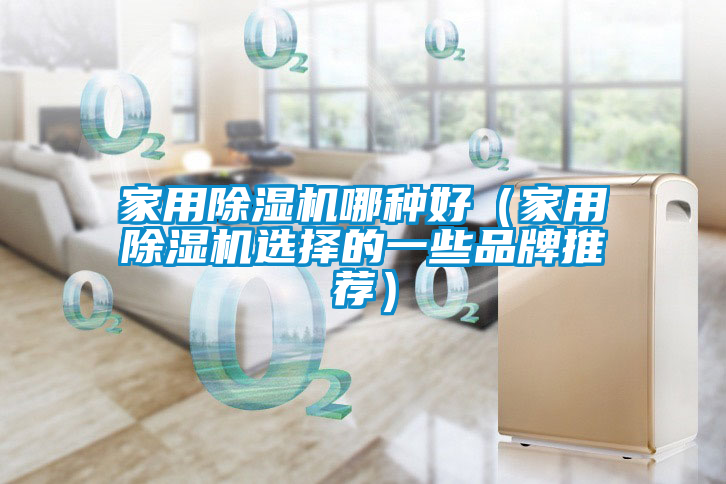 家用除濕機哪種好(家用除濕機選擇的一些品牌推薦)