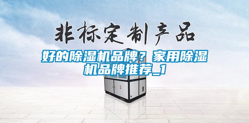 好的除濕機(jī)品牌?家用除濕機(jī)品牌推薦_1