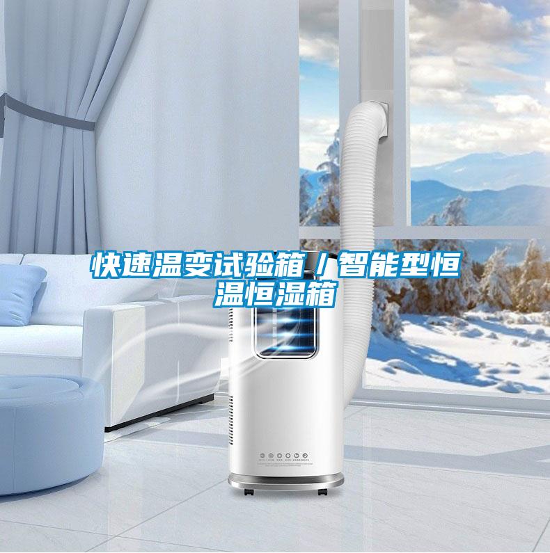 快速溫變試驗箱/智能型恒溫恒濕箱